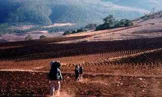 Excurciones por el campo